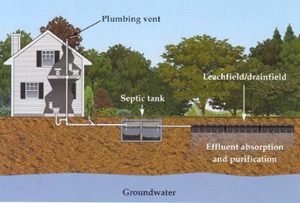 septic tank pumping
